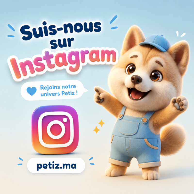 Petiz instagram