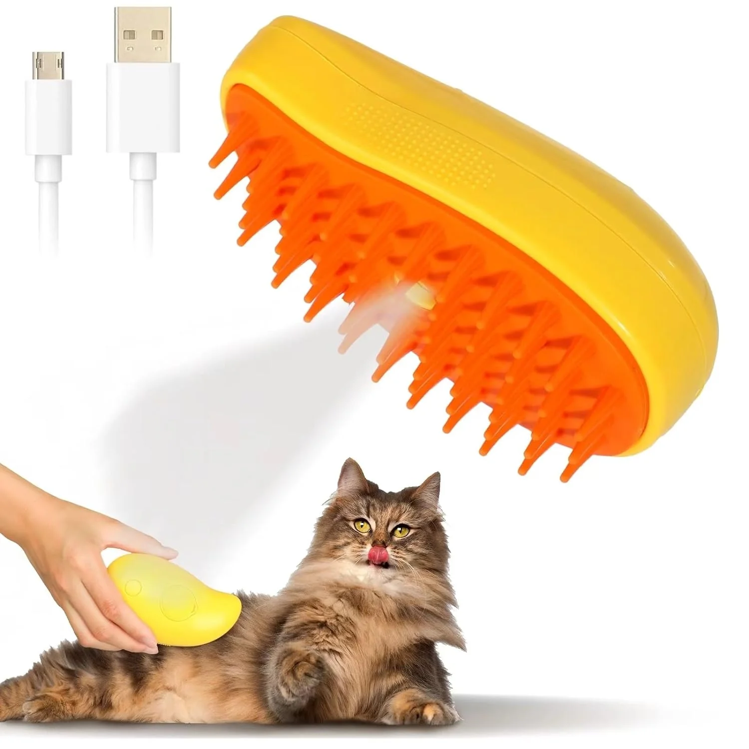 Brosse à Vapeur