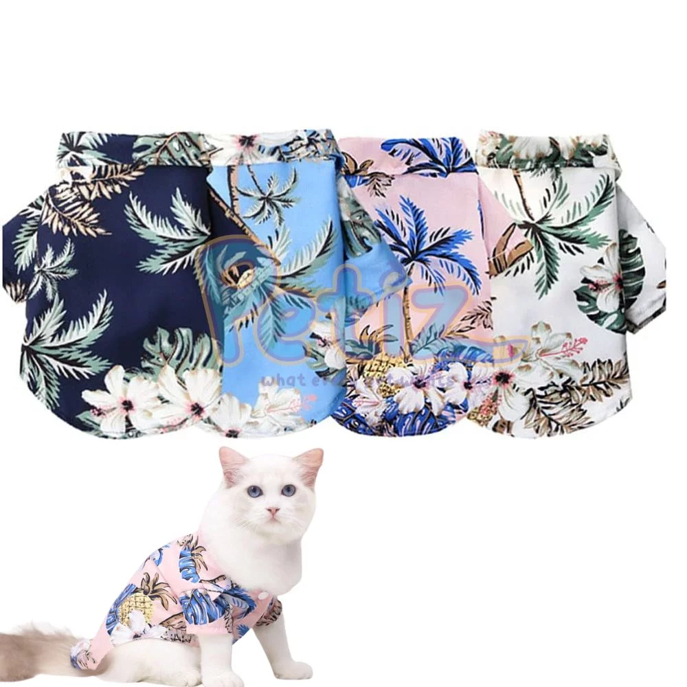 chemise chat chien1 chemise pour chien