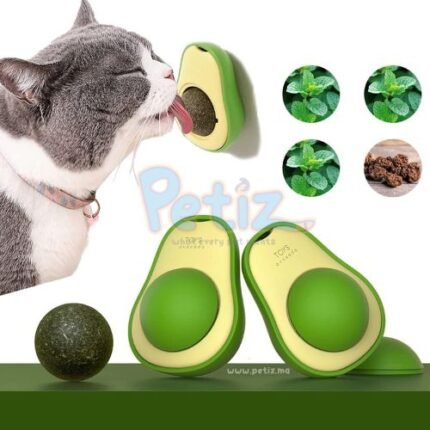 catnip avocat