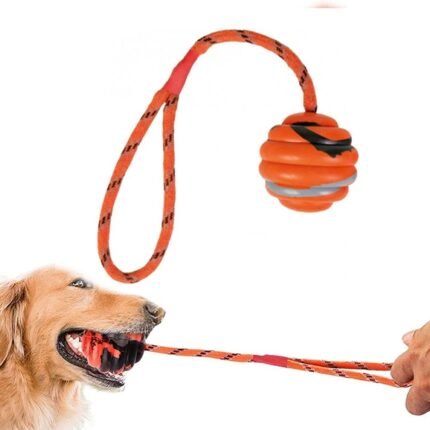 Balle en Caoutchouc Solide avec Corde en Nylon Durable pour Chien – Jouet Résistant , Exercice Musculaire et Dressage
