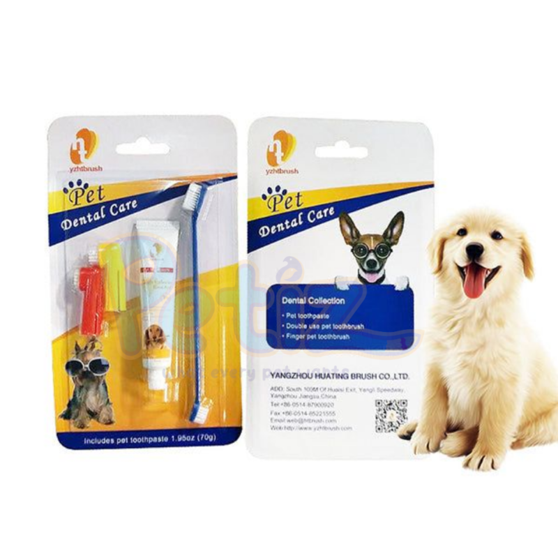dentifrice chien chat
