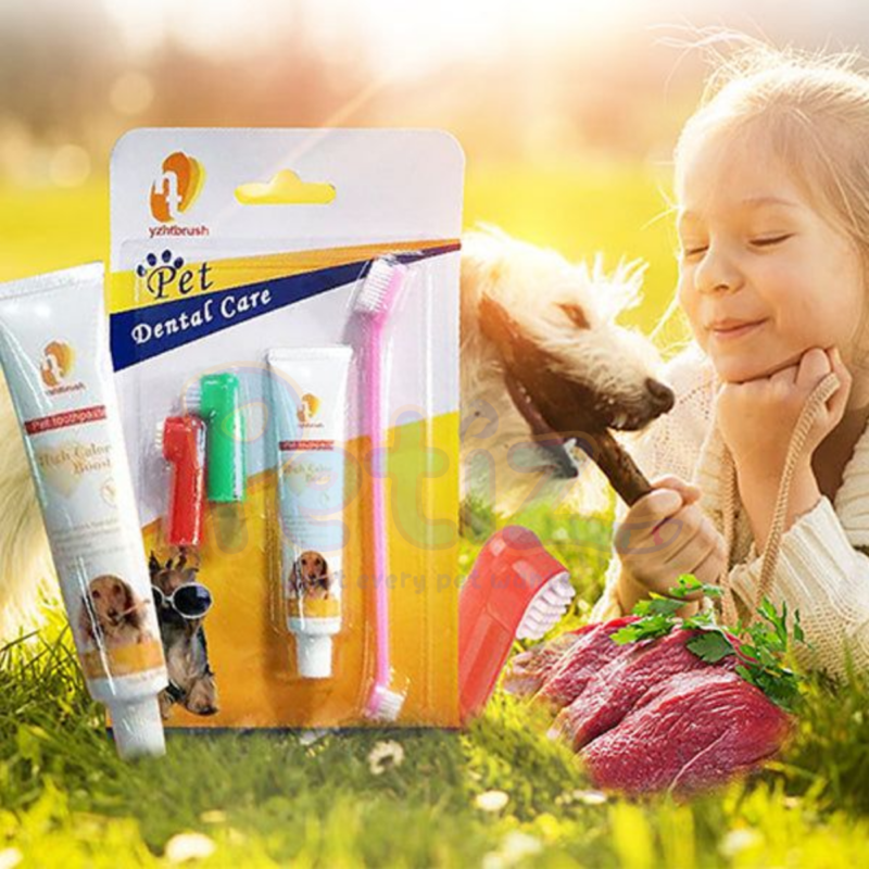 dentifrice chien chat