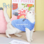 Vêtements pour chat