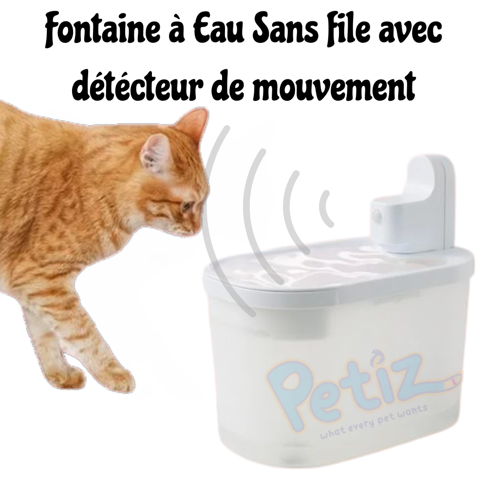 Fontaine à eau pour chat