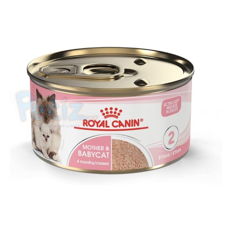 Royal Canin Mother & Babycat – Croquettes pour Chatte Gestante ou Allaitante et Chatons de 1 à 4 Mois – Sac de 2 kg – Soutien Immunitaire, Digestibilité Optimale, Sevrage en Douceur