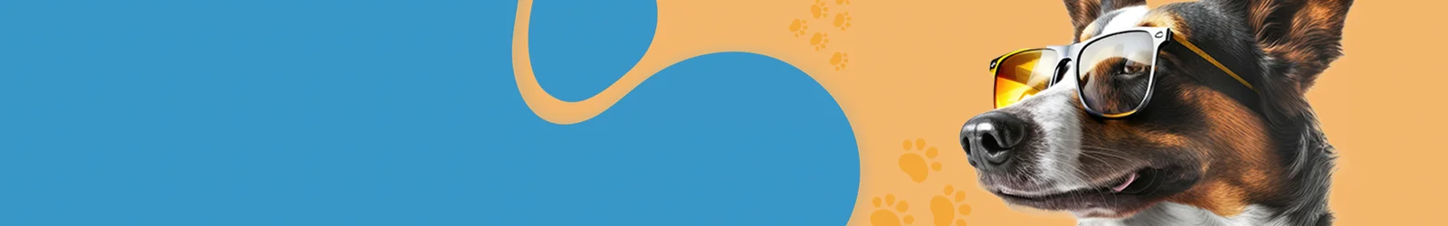 banner1