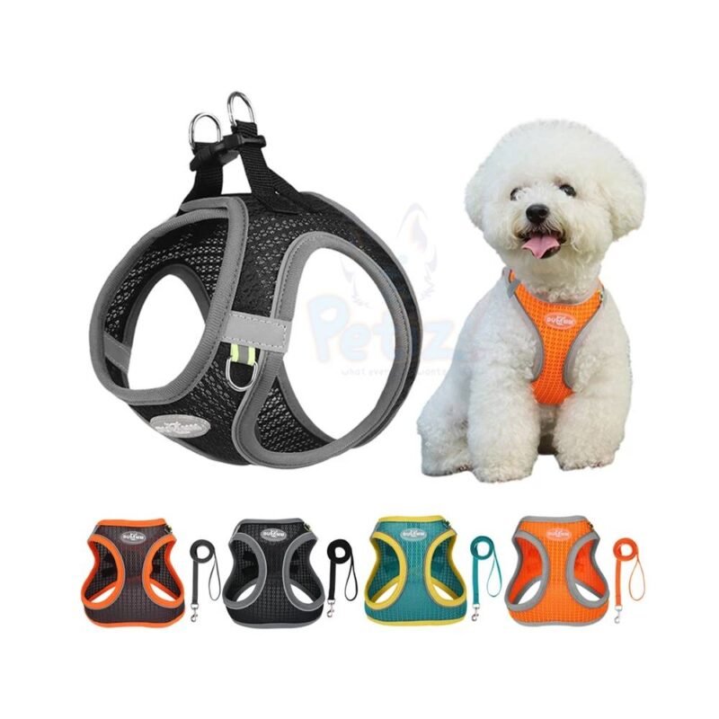 Ensemble Harnais et Laisse pour Petit Chien – Gilet Réglable Respirant pour Chiot, Chat, Bouledogue Français, Carlin, Chihuahua – Marche en Plein Air
