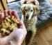 friandises chien