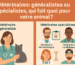 Vétérinaires : généralistes ou spécialistes, qui fait quoi pour votre animal ?