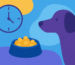 Nourrir son animal à heures fixes : pourquoi c’est important ?