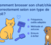Comment brosser son chat ou chien correctement selon son type de poil ?