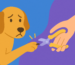 Guide complet pour couper les griffes de son animal en sécurité