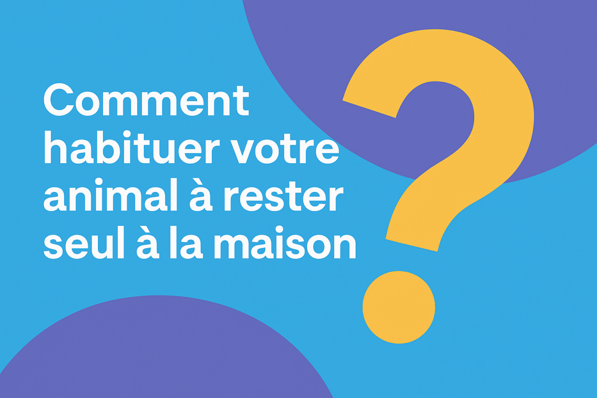Comment habituer votre animal à rester seul à la maison ?