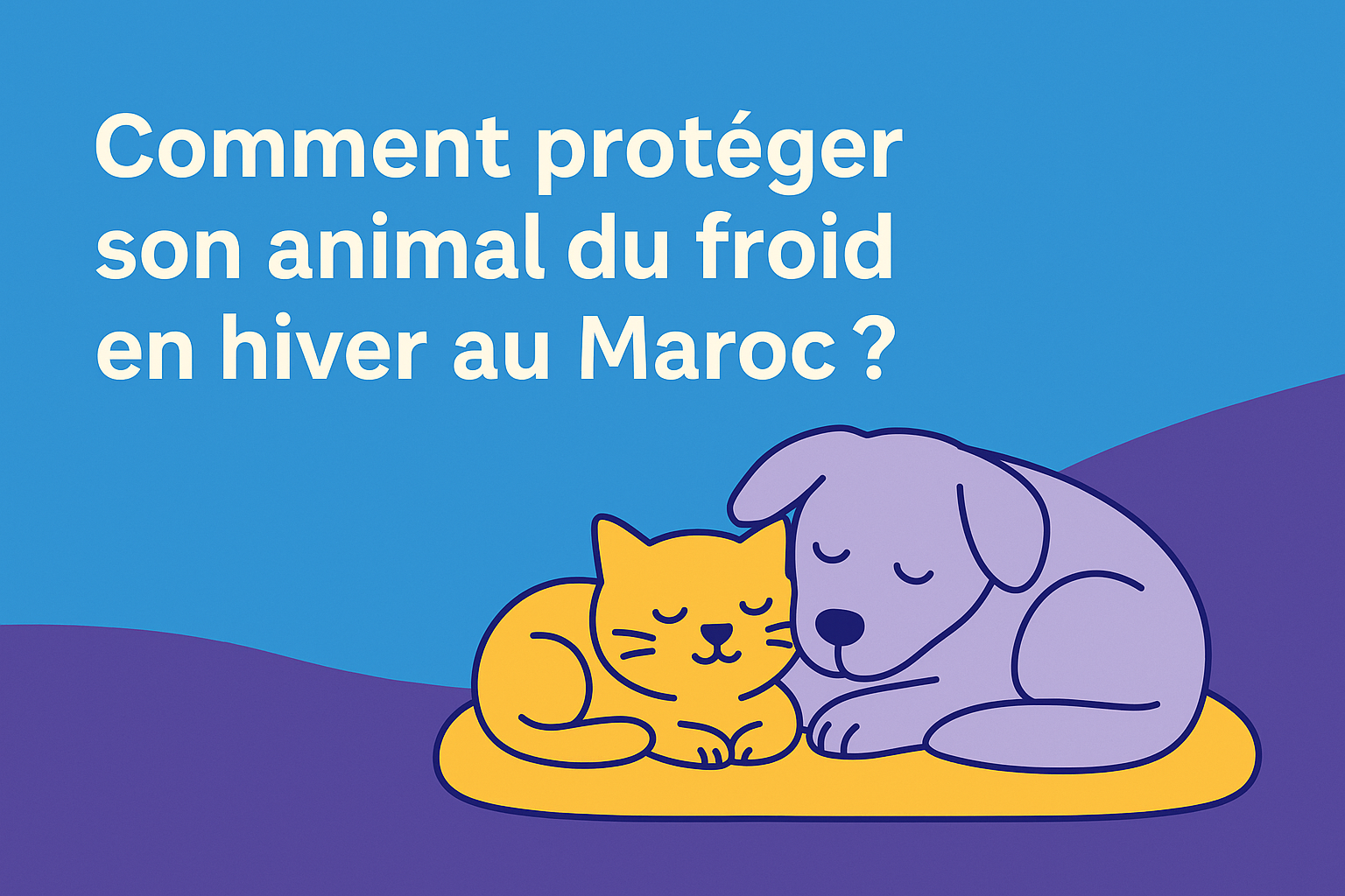 Comment protéger son animal du froid en hiver au Maroc ?