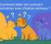 Comment aider son animal à socialiser avec d'autres animaux ?