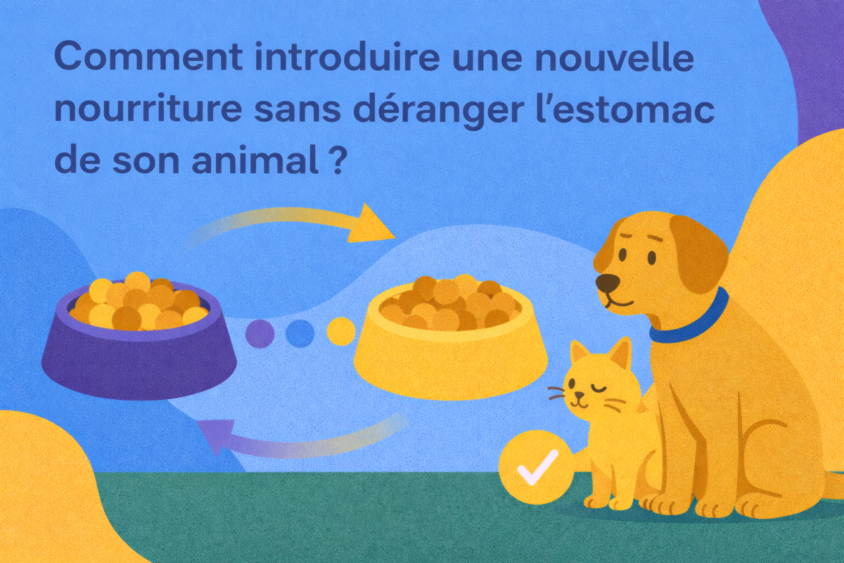 Comment introduire une nouvelle nourriture sans déranger l’estomac de son animal ?