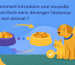 Comment introduire une nouvelle nourriture sans déranger l’estomac de son animal ?
