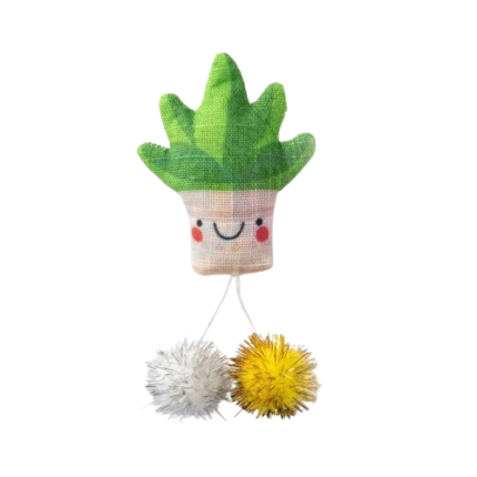 Aloe Vera Mexicain en Tissu avec Herbe à Chat LeoPet