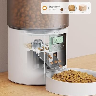 Distributeur automatique de nourriture pour chat : distributeur automatique de nourriture pour chat avec minuterie - Gamelle avec distributeur automatique de nourriture