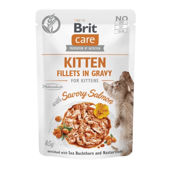Brit Care Kitten Filets au Saumon en Sauce 85g | Pâtée Sans Céréales pour Chaton