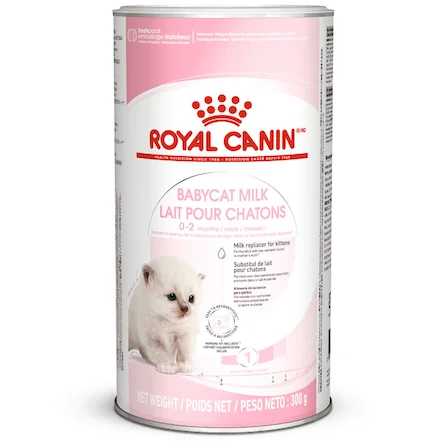 Royal Canin Babycat Milk 300g – Lait Maternisé Premium pour Chatons Nouveau-Nés