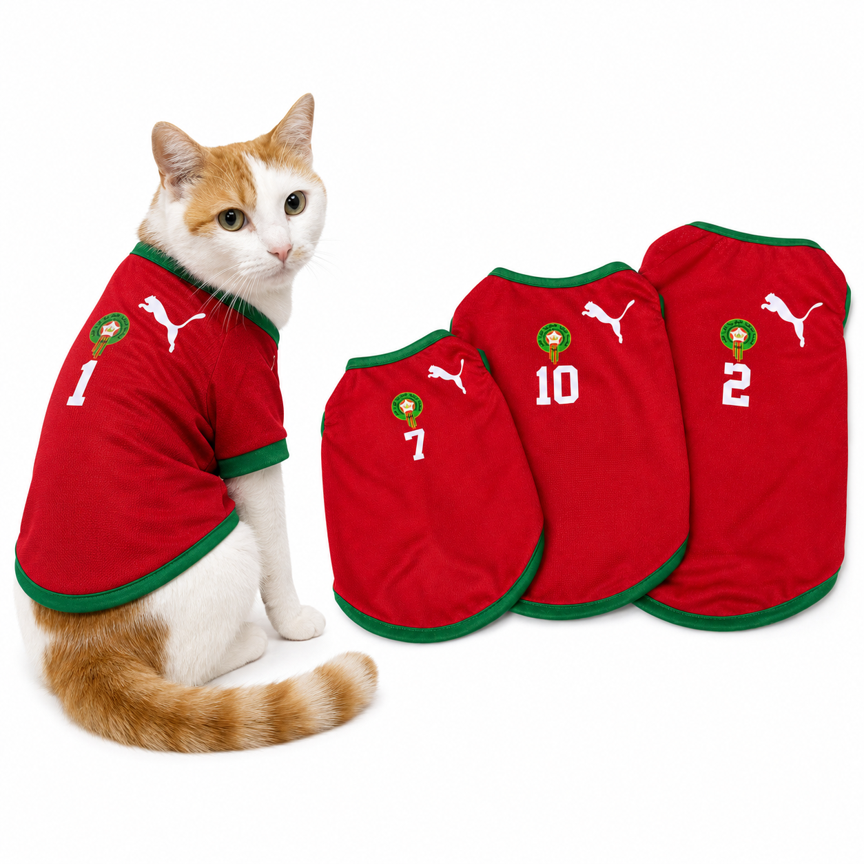 Maillot Maroc pour Chat et Chien - Jersey Supporter Lions de l’Atlas Rouge et Vert