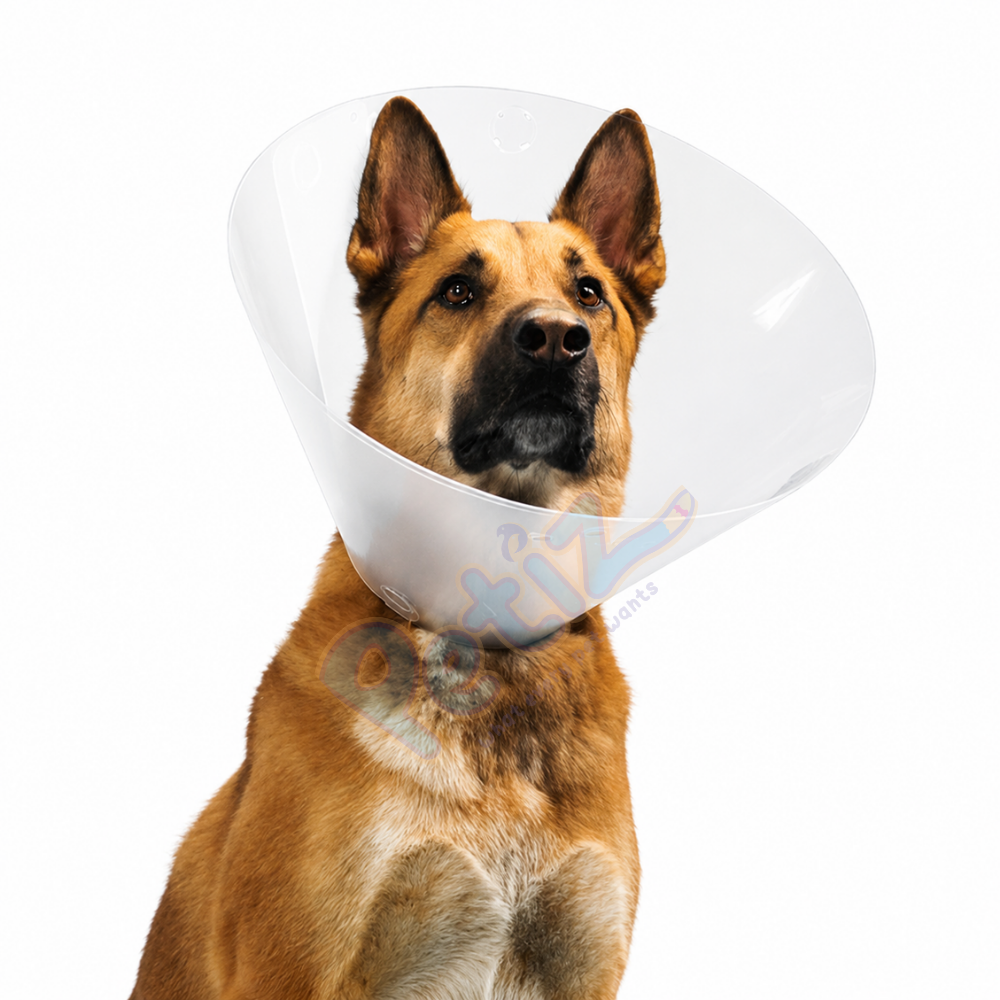 Photo Site petiz Collerette Pour Chien Vétérinaire Ajustable - Cone de Protection Post-Opératoire