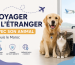 Chien et chat avec caisse de transport, prêts à voyager à l’étranger depuis le Maroc